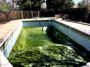 Longmont pool removal