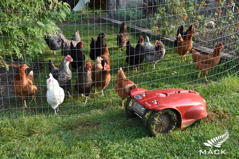 Mack Land, robot mower, pool removal company, landscape architects