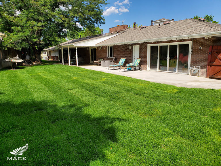 Mack Land, Pool Removals