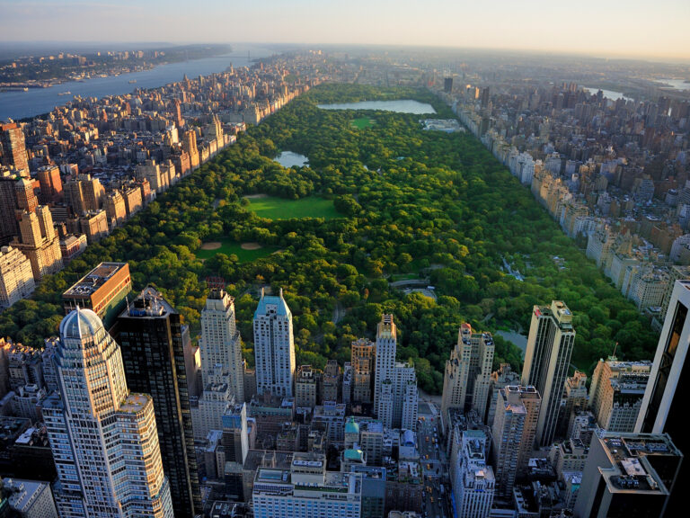 Defining the Role of a Landscape Architect