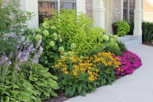 Planting Tight Spaces