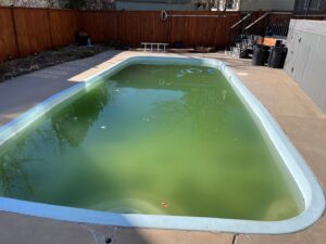 Pool Removal