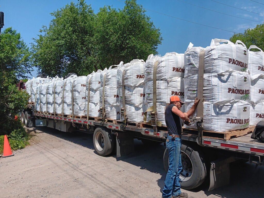 Fill Dirt vs Planting Soil