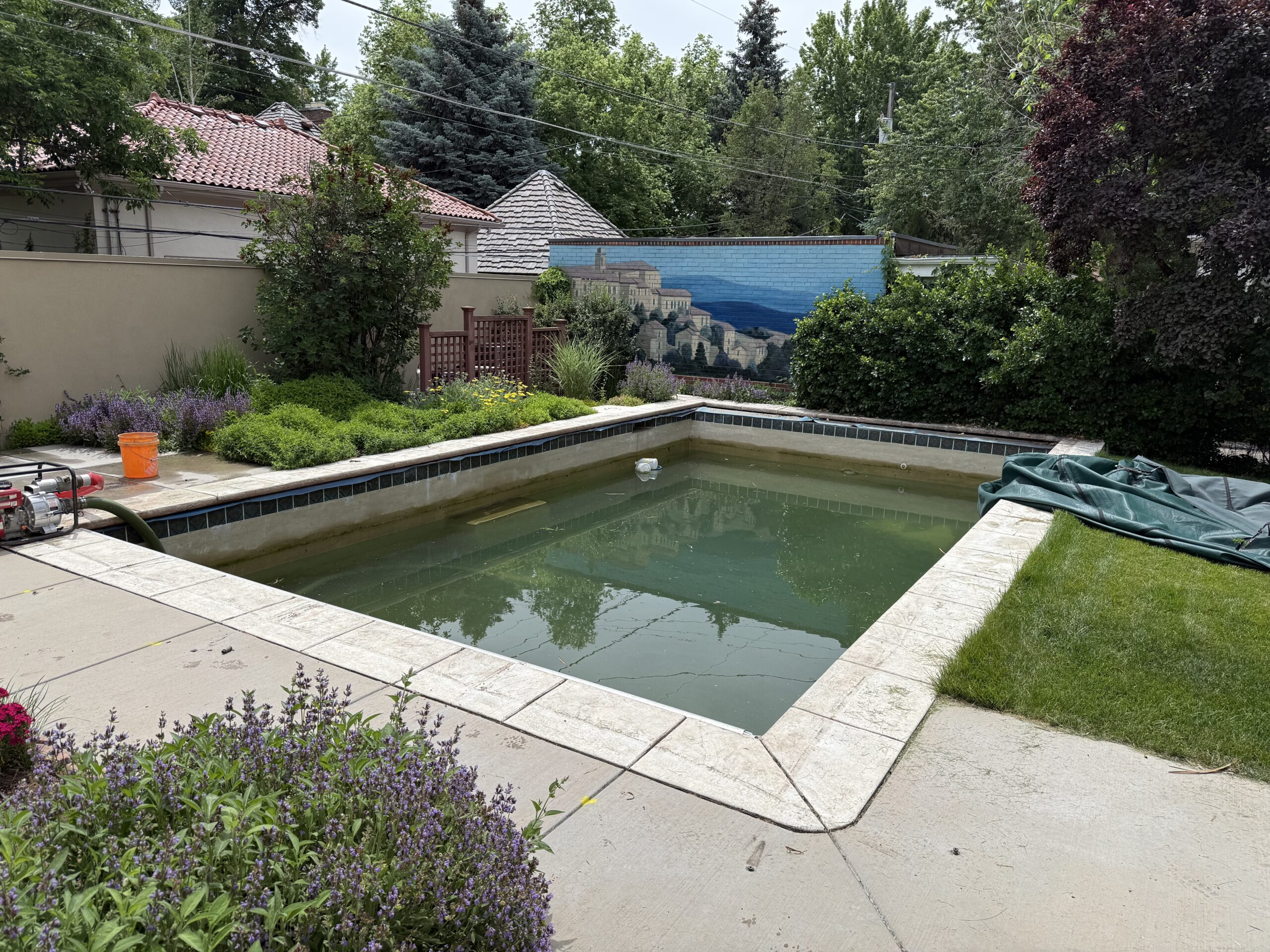 Denver Pool Removal