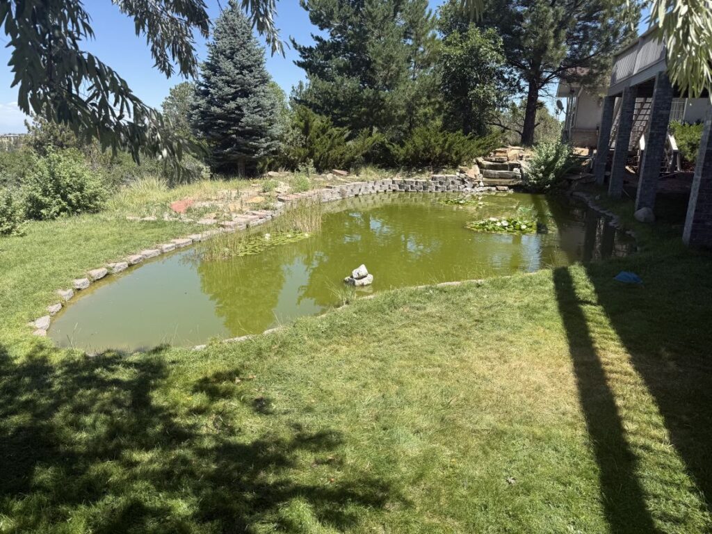 pond removal in Parker