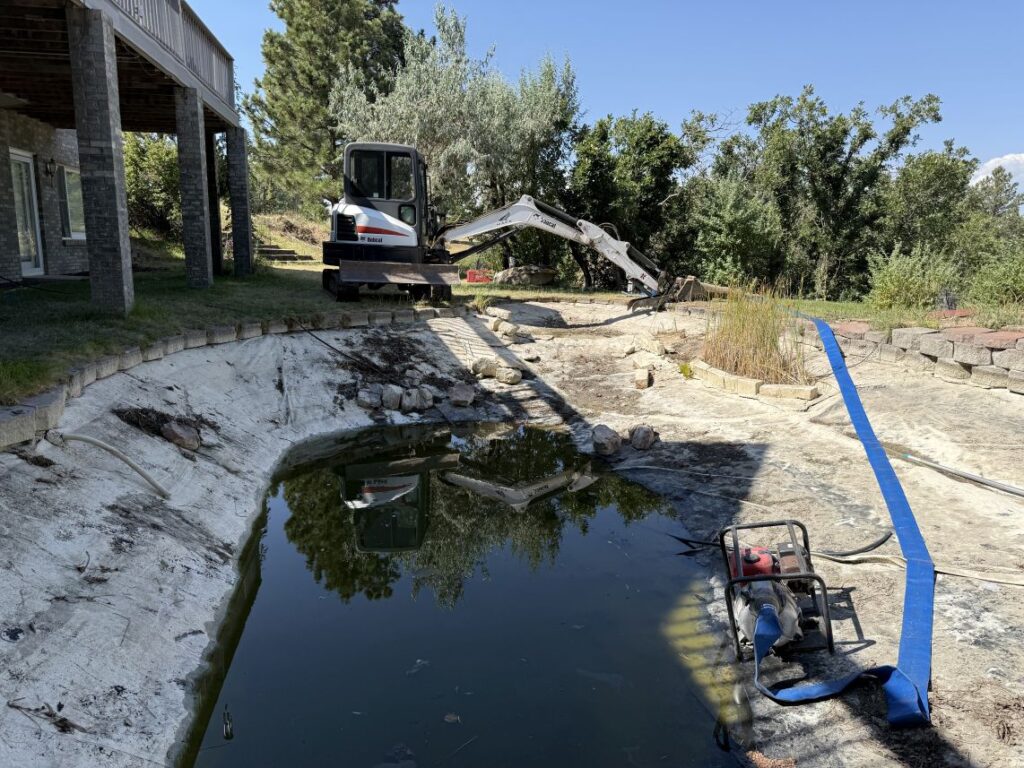 pond removal in Parker