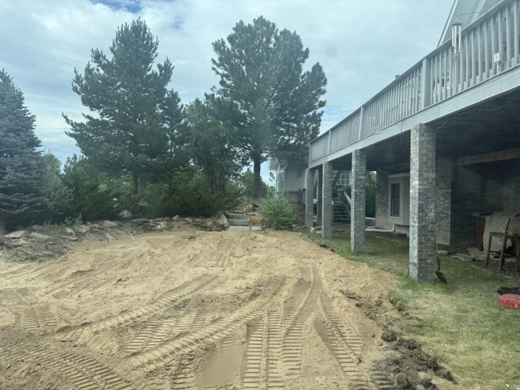 pond removal in Parker